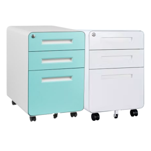 Document Cabinet BG00010
