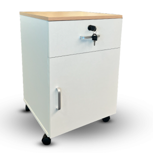 Document Cabinet BG0008