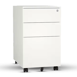 Document Cabinet BG0009